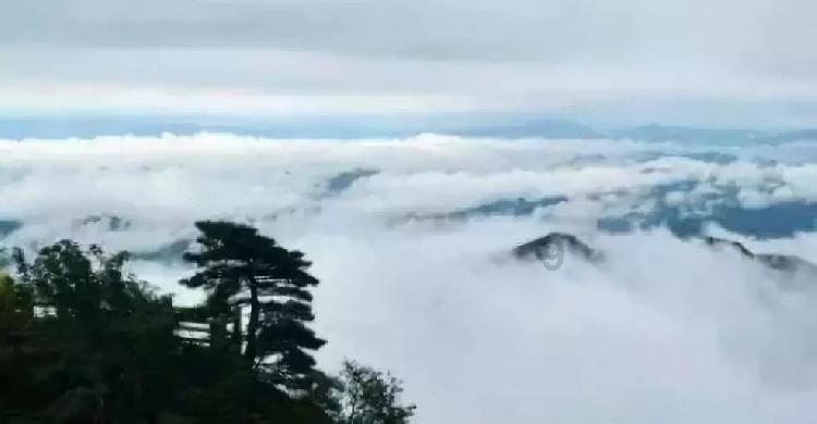 小镇惊魂